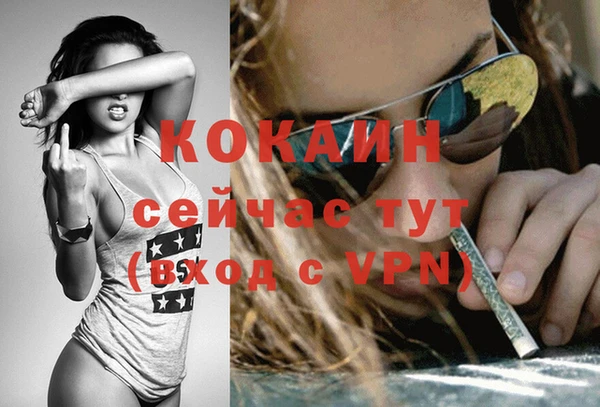 СК Осинники