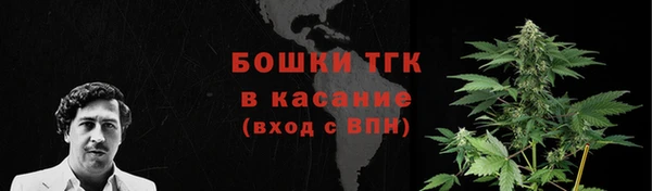 СК Осинники