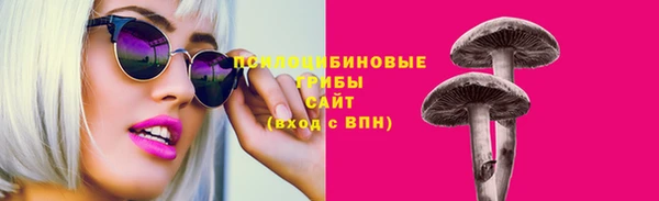 мяу мяу кристалл Няндома