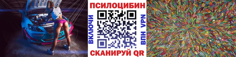 сколько стоит Кинель Галлюциногенные грибы прущие грибы