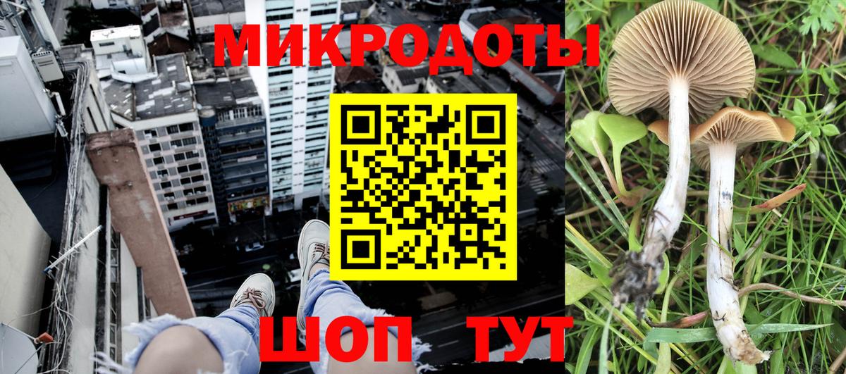 Галлюциногенные грибы Psilocybe  Вход с VPN  Галлюциногенные грибы прущие грибы  Кинель 