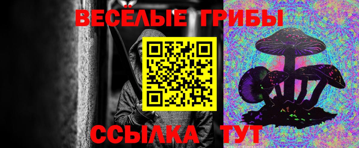 Псилоцибиновые грибы Psilocybe Кинель