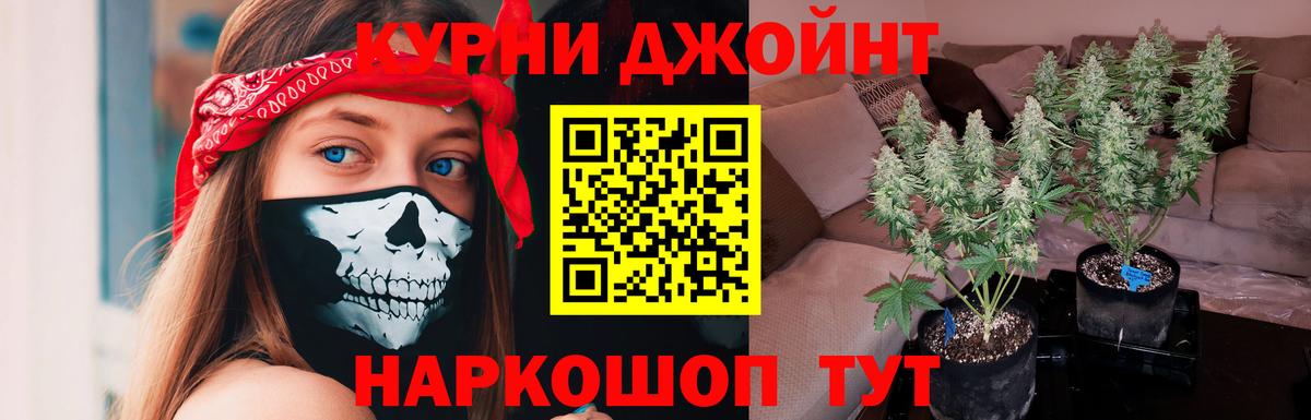 Кинель  Шишки марихуана THC 21%  Конопля индика  Вход с VPN 